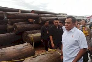 Bareskrim Polri Ungkap Praktik Ilegal Logging di Kalteng