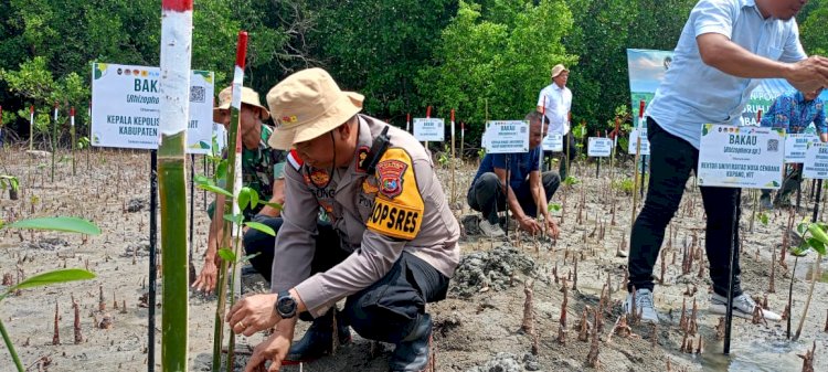 Semarakan Hari Bakti Rimbawan ke-41 Kapolres Kupang Hadiri Penanaman  Anakan Mangrove di Desa Tanah Merah