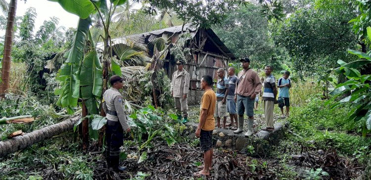 Tragis ! Gadis 5 Tahun di Amfoang Barat Laut Kabupaten Kupang, Tewas Usai Tertimpa Pohon Kelapa Saat Sedang Tidur
