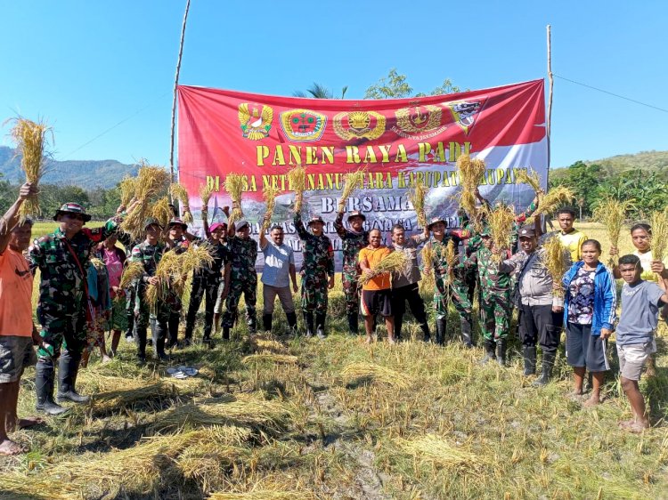 Bangun Sinergitas TNI-Polri di Perbatasan Negara, Kapolsek Amfoang Timur Hadiri Panen Raya Satgas Pamtas Yon Kav 6/Naga Karimata