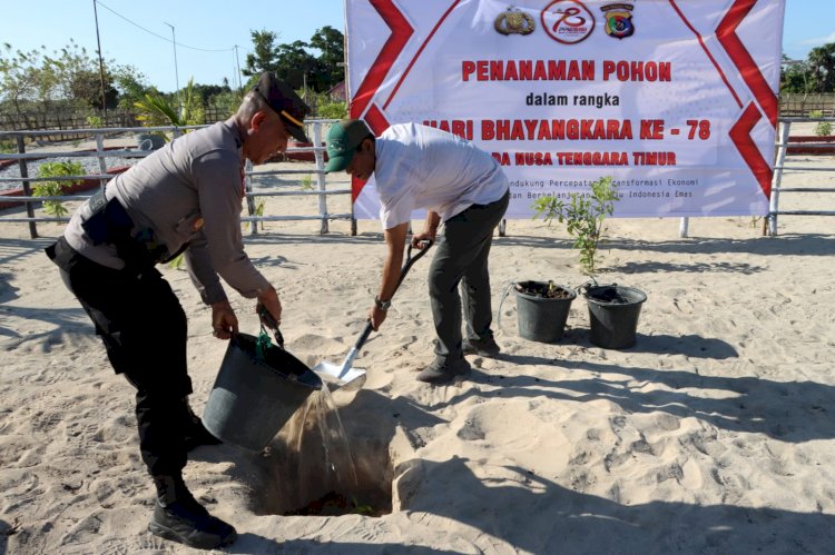 Tanam Puluhan Anakan Pohon Dihalaman Gereja St. Petrus Batu Karang Liman, Bukti Polres Kupang Peduli Lingkungan Hidup