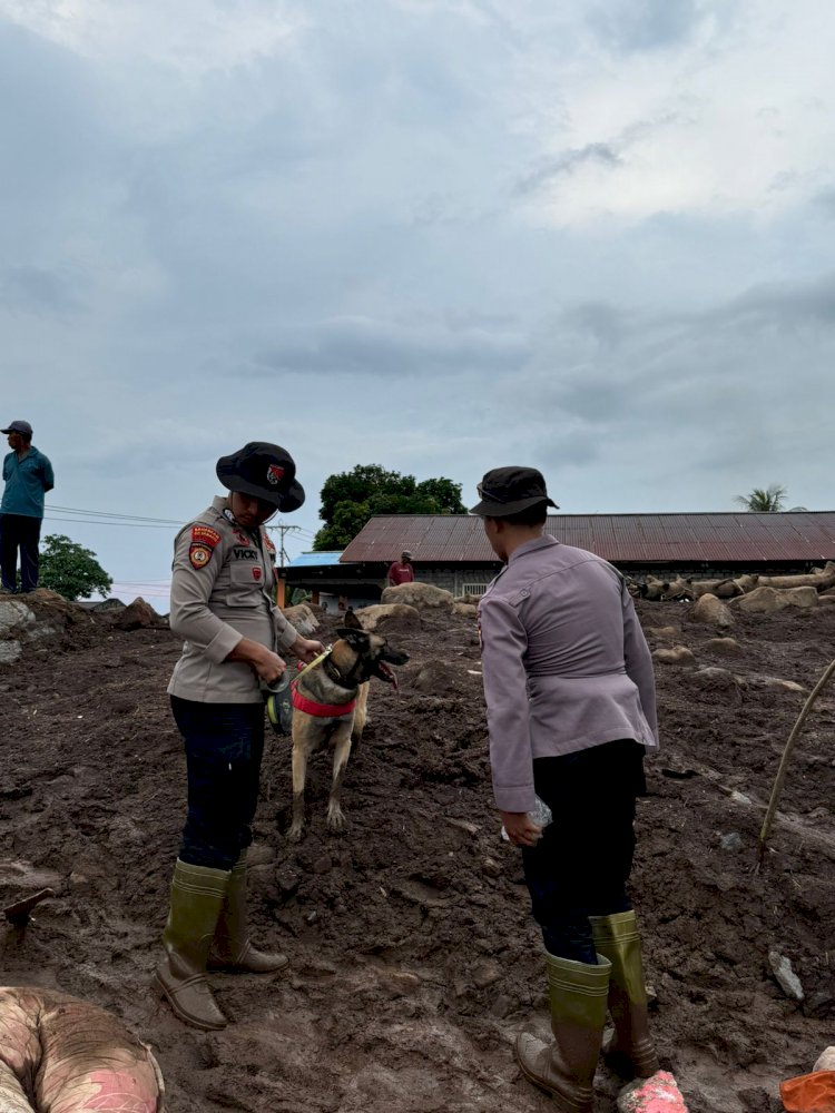 Polri Kerahkan 102 Personel dan Satu Anjing K9 Cari Korban Longsor di Kelurahan Rua, Ternate