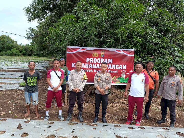 Kapolres Kupang Inisiasi Polsek Jajaran Buka Lahan Perkebunan untuk Dukung Program Ketahanan Pangan