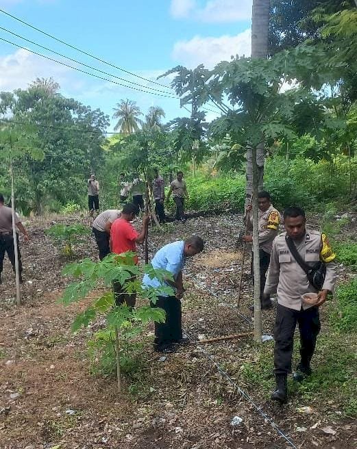 Kapolres Kupang Inisiasi Polsek Jajaran Buka Lahan Perkebunan untuk Dukung Program Ketahanan Pangan