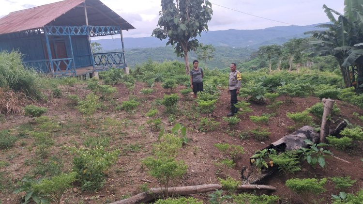 Bhabinkamtibmas Desa Toobaun Aipda Aprianus M. Passu Ajak Masyarakat Manfaatkan Lahan Tidur Jadi Produktif dan Pekarangan Jadi Lahan Bergizi