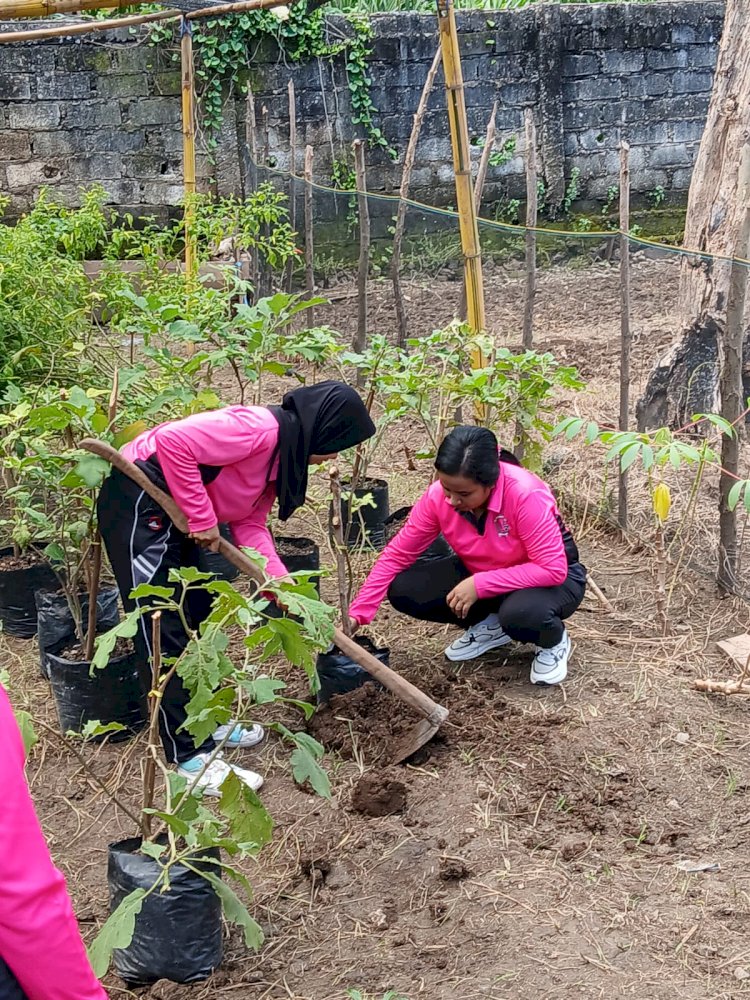 Bhayangkari Polsek Kupang Tengah Tanam Lombok dan Sayur untuk Dukung Ketahanan Pangan