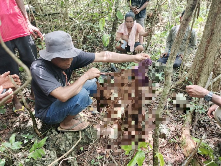 Geger ! Warga Temukan Kerangka Manusia di Hutan Desa Nunmafo, Kabupaten Kupang