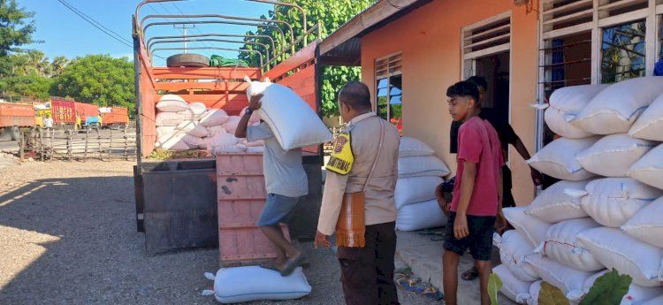 Bhabinkamtibmas Desa Pantulan Kawal Penjemputan 33,7 Ton Jagung Kering oleh Bulog NTT