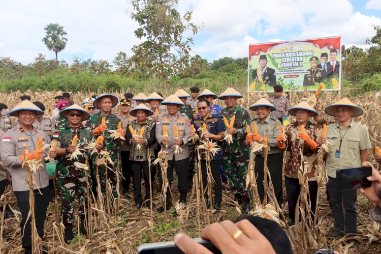 Polda NTT Gelar Panen Raya Jagung Serentak Kuartal II di 29,62 Hektar Lahan Bersama Presiden dan Kapolri