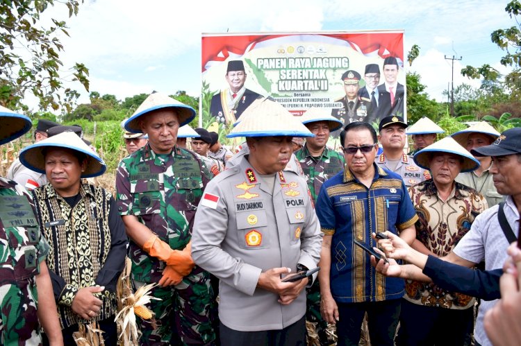 Kapolda NTT Pimpin Panen Raya Jagung Serentak, Dorong NTT Jadi Lumbung Pangan Nasional Kepala Kepolisian Daerah Nusa