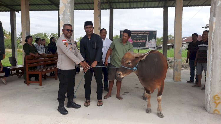 Kapolres Kupang Sumbang 2 Ekor Hewan Kurban di Hari Raya Idul Adha 1446 H