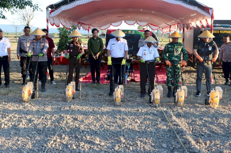 Dukung Swasembada Pangan Polres Kupang Gelar Penanaman Jagung Serentak Kuartal III dan Pemanfaatan Lahan Perhutanan Sosial
