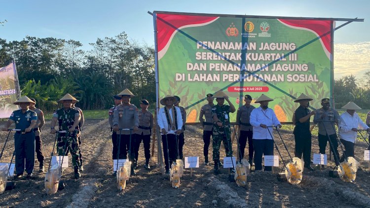 Dukung Swasembada Pangan Nasional, Polda NTT dan Kelompok Tani Kopdale Tanam Jagung Serentak di Kupang Timur