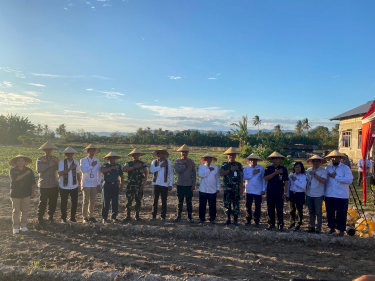 Dukung Swasembada Pangan Nasional, Polda NTT dan Kelompok Tani Kopdale Tanam Jagung Serentak di Kupang Timur