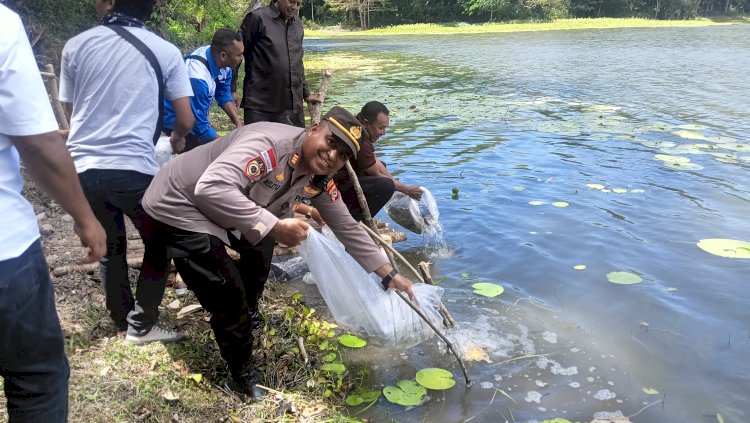 Polsek Amarasi Amankan Penebaran 1.000 Benih Ikan Air Tawar di Danau Nefokou Desa Apren