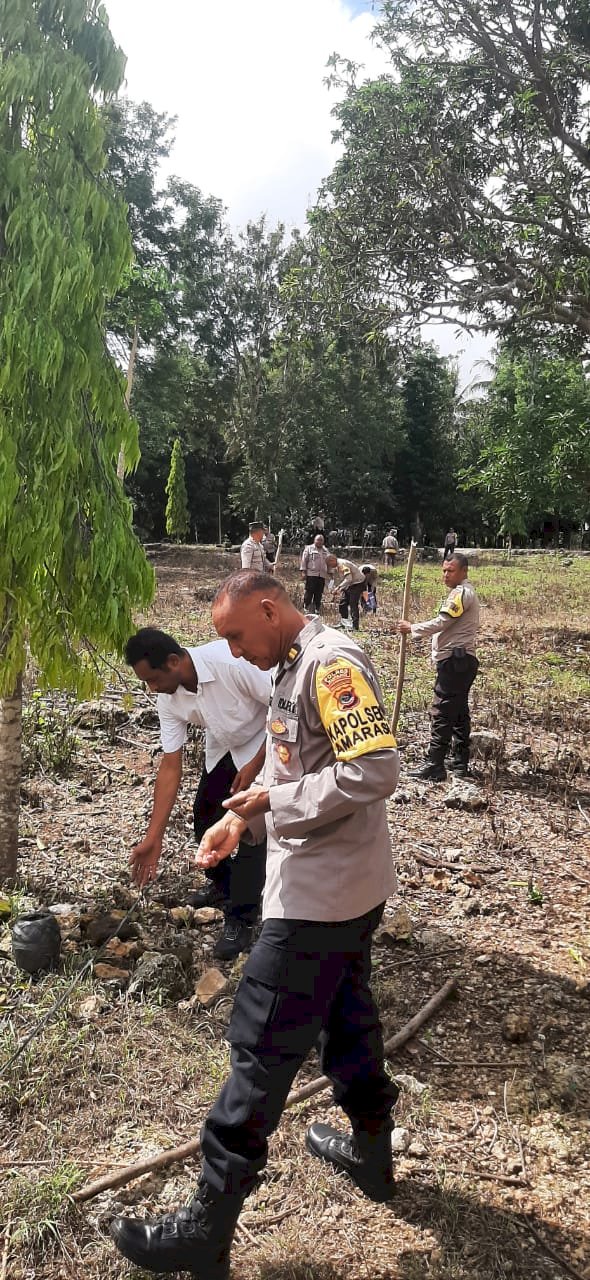 Polsek Amarasi Laksanakan Penanaman Jagung Hibrida Dukung Swasembada Pangan