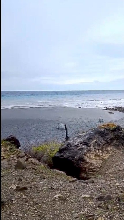 Muncul Semburan Lumpur, Bukit Liman Semau Selatan Hebohkan Warga