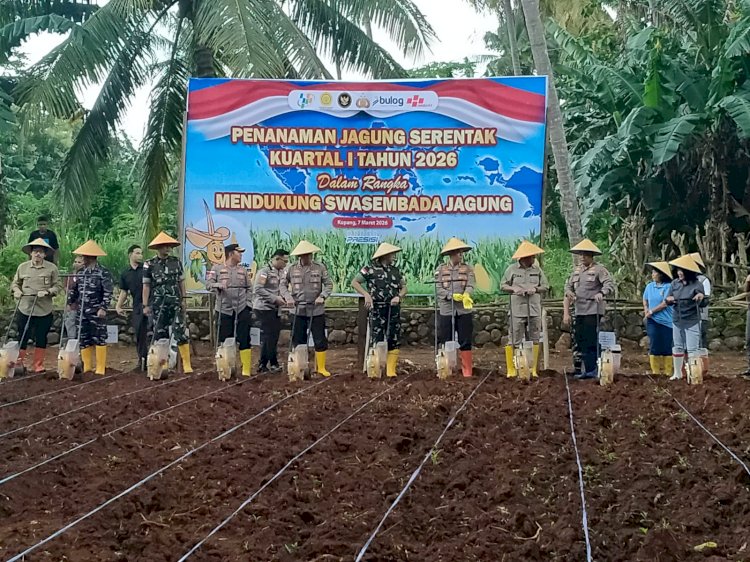 Kapolda NTT Pimpin Penanaman Jagung Serentak Kuartal I 2026 di Kabupaten Kupang Usai Zoom Meeting Bersama Kapolri