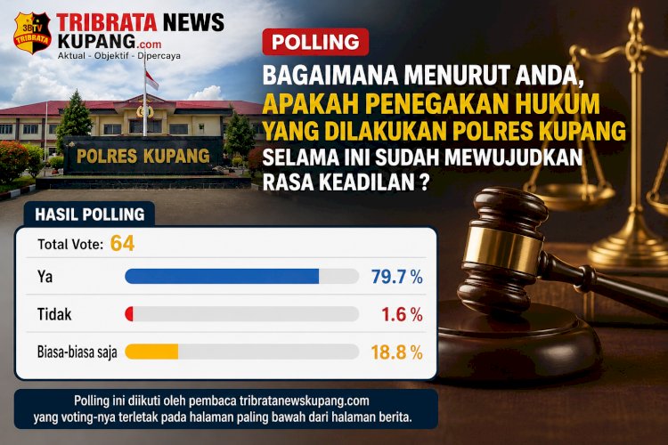 Polling Tribrata News Kupang, Mayoritas Warga Nilai Penegakan Hukum Polres Kupang Sudah Berkeadilan