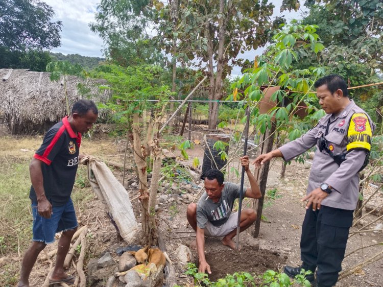 Bhabinkamtibmas Polsek Amfoang Utara Sigap Tangani Anjing Diduga Rabies, Warga Desa Fatunaus Merasa Aman