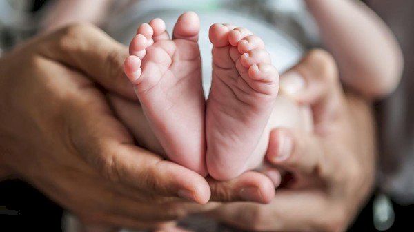 Warga Nonbes Geger, Bayi Perempuan Ditemukan Hidup dalam Kardus di Hutan Mnera Kabnono