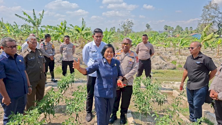 Wakil Ketua II DPRD Kabupaten Kupang Apresiasi Inovasi Pertanian Terpadu Kapolres Kupang