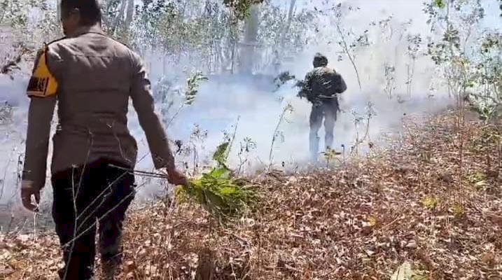 Personel Polsek Kupang Timur Berjibaku Padamkan Api yang Menjalar di Hutan Kayu Putih