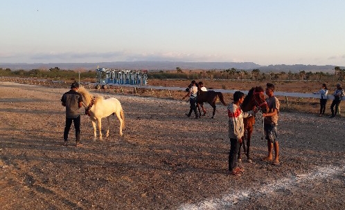 Personil polres kupang amankan  kegiatan pacuan kuda  arena Lifubatu